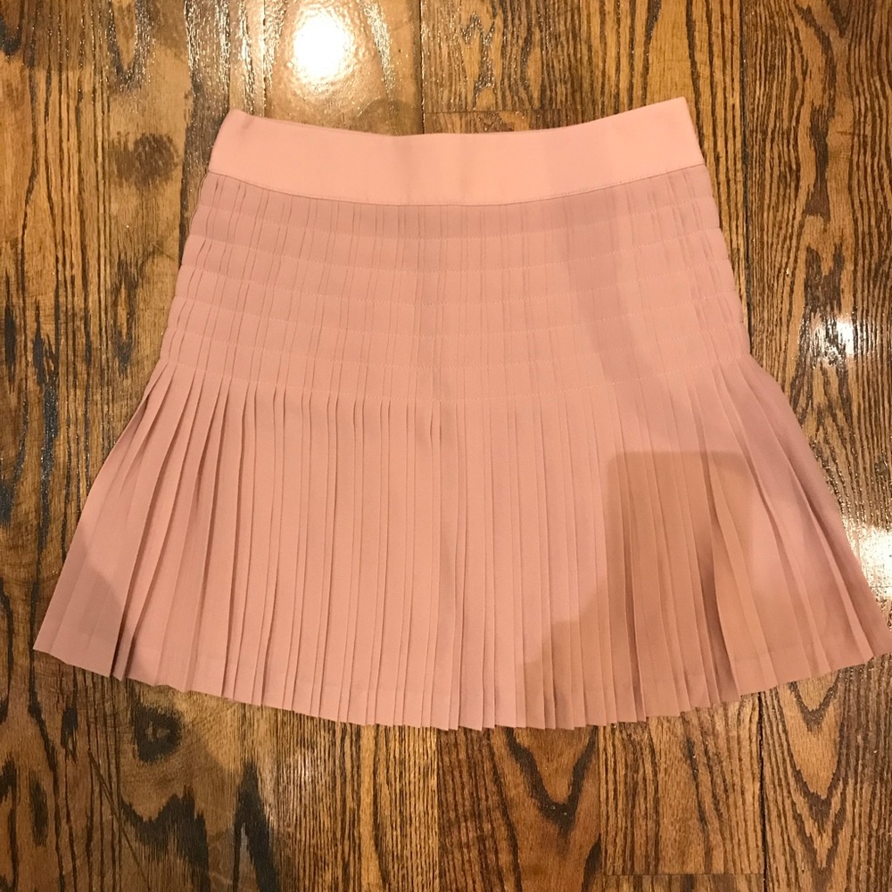 J Crew Pleated Skirt Blush 2